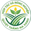 HTX Quyết Thắng Na Xanh